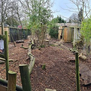 Parma Wallaby Walkthrough