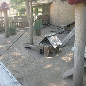 Berlin Zoo - Hans im Glück - Rabbit exhibit
