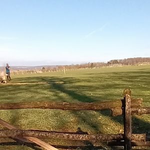 Animal Presentation Enclosure