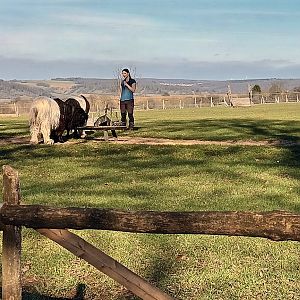 Valois Goat Keeper Talk