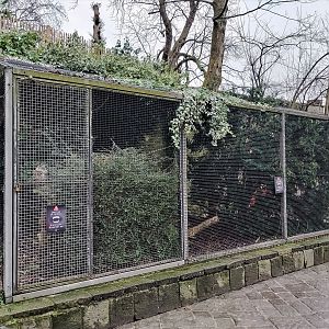 Eurasian eagle-owl aviary