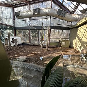 The Old Tree Kangaroo Exhibit