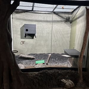 New Exhibit Getting Prepared for Someone