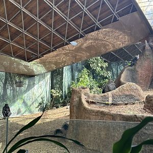 The Indoor Gorilla Exhibit