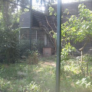 Berlin Zoo - Eagle owl aviary