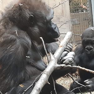 "Are you even listening to me young man?"