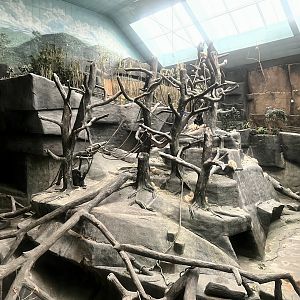 Lowland Gorilla Exhibit