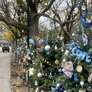 Themed Christmas Trees
