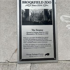 History of The Swamp