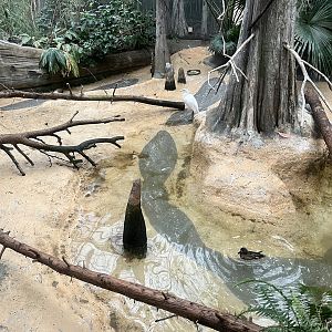 Swamp Exhibit