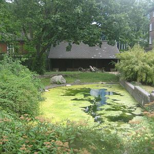 Berlin Zoo - Anteater exhibit