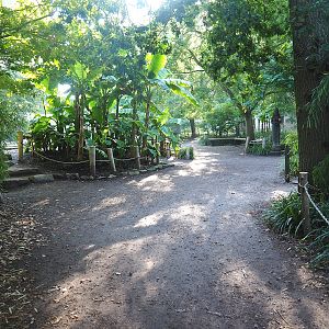 Park view near the Asiatic lion exhibit, 2022-09-12