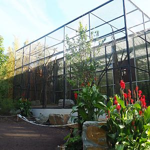 New outdoor aviary for Wrinkled hornbill, Sclater's crowned pigeon and Greater hill myna, 2022-09-12