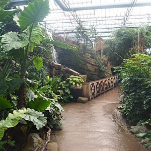 Walkway in the orangutan greenhouse, 2022-09-12