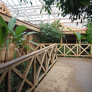 Access road to Sumatran orangutan and Northern white-cheeked gibbon viewing lodges, 2022-09-12