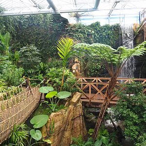 Walkways and waterfall in the orangutan greenhouse, 2022-09-12