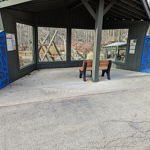 New art pieces at Gibbon viewing