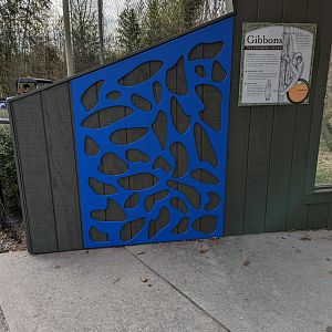 New art piece at Gibbon viewing