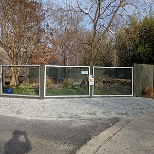 Completed Nile Crocodile exhibit renovations