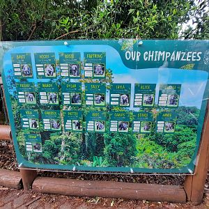 New Chester Chimpanzee Name Board
