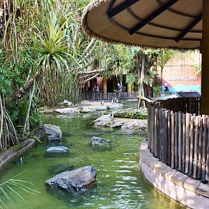 [CLOSED] Penguin Coast