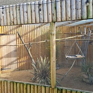 Mixed Species Aviary