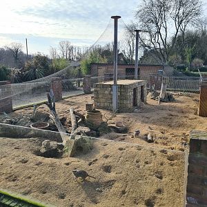 Meerkat Exhibit