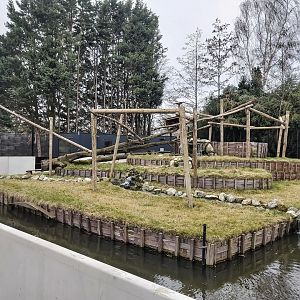 (New) Binturong enclosure