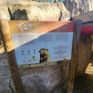 Fat Sand Rat Signage