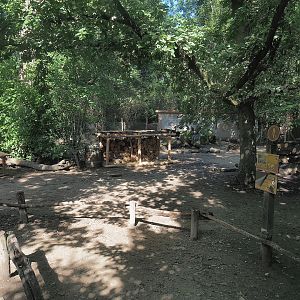 Patagonian mara walk-through exhibit, 2022-09-12