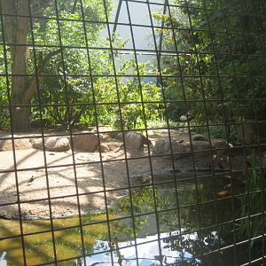 Berlin Zoo - Wetlands aviary