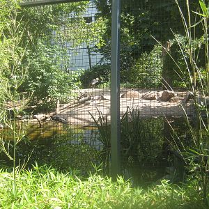 Berlin Zoo - Wetlands aviary