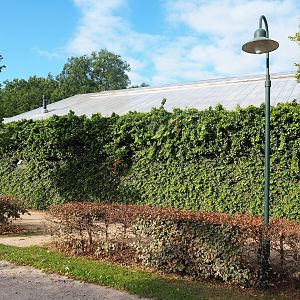 Backside of the tropical hall next to the parking lot, 2022-08-28