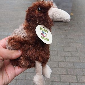 Kiwi plush, 2022-08-28