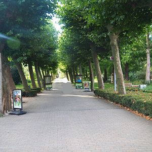 Entrance avenue, 2022-08-28