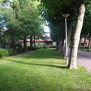 Entrance avenue and lawn next to the ostrich paddock, 2022-08-28
