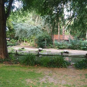 North African ostrich, East African crowned crane and Helmeted guineafowl paddock, 2022-08-28