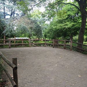 North African ostrich, East African crowned crane and Helmeted guineafowl viewing area, 2022-08-28