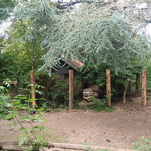 North African ostrich, East African crowned crane and Helmeted guineafowl barn and part of paddock, 2022-08-28