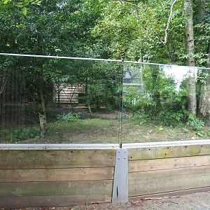 One of two double-wattled cassowary exhibits, 2022-08-28