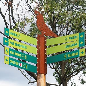 Road signs with metal cut-out cockatoo artwork, 2022-08-28