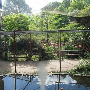Cuban aviary seen from the terrace next to it, 2022-08-28