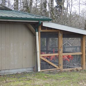Flamingo house