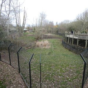 African hunting dog enclosure