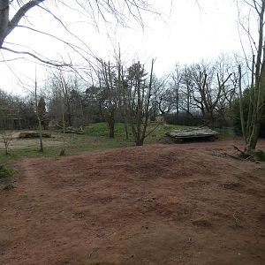 African hunting dog enclosure (2)