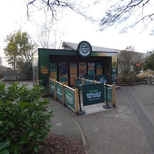 'Gorilla Trek' Virtual Reality experience