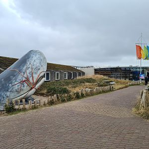 Entrance and sperm whale statue