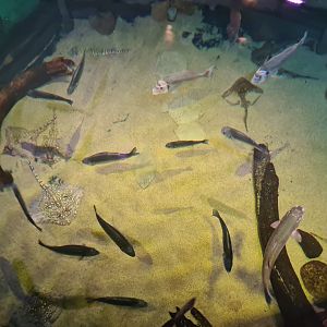 North Sea tank from above