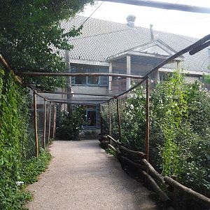 Visitor area in the Cuban aviary, 2022-08-28