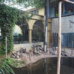 Part of the Cuban aviary between visitor area and terrace viewing windows, 2022-08-28